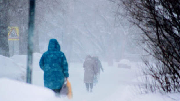 Суровые январские метели надвигаются на Алтайский край в ближайшие дни