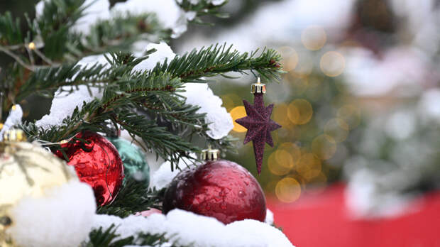 Прогулки отменяются? Какая погода ожидает жителей регионов России на Новый год