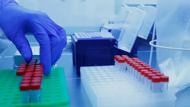 В Аргентине за сутки выявили 1218 случаев коронавируса