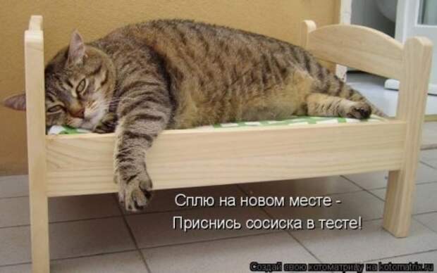 Сборник весёлых котоматриц (35 шт)