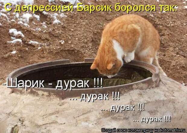 Котоматрицы (картинки с надписями)