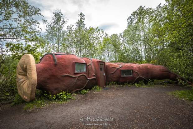 музей, современное искусство, Бельгия, отель, анус, кишка