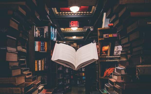 В читальне на Будайском пройдет мультпарад и акция «Книги в добрые руки»