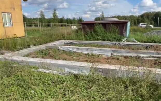 Участок Михаила / Фото предоставлено Михаилом