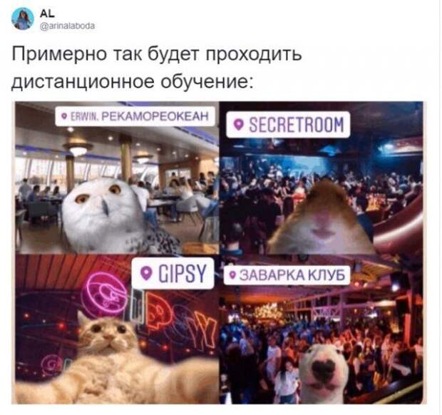190678_11_trinixy_ru.jpg
