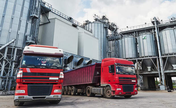 Этот фрукт из Ирана не пустили в Челябинскую область