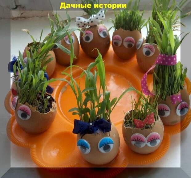 https://vk.com/photo-159774511_456241367