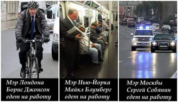 Прикольные картинки Прикольные картинки