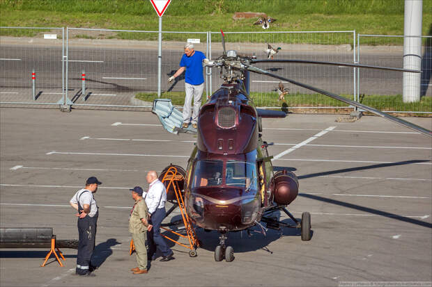 LYSM9542 LYSM9542