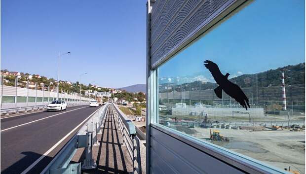 🦅 На шумозащитных экранах Обхода Адлера появились силуэты хищных птиц для защиты