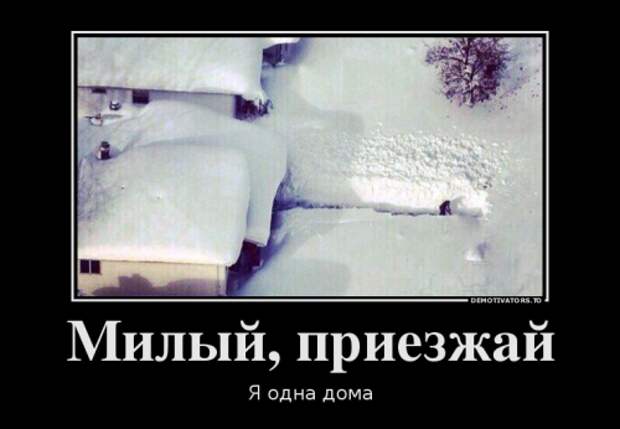 Демотиваторы-приколы (17 шт)