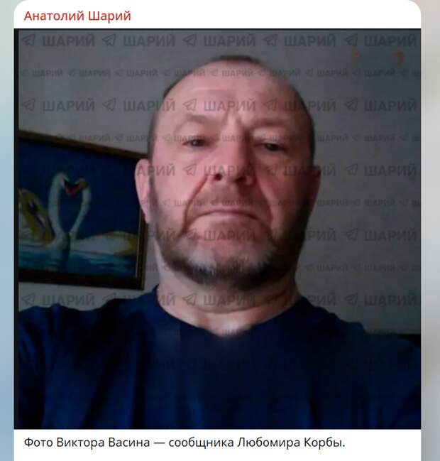 Скрин поста в тг-канале Анатолия Шария