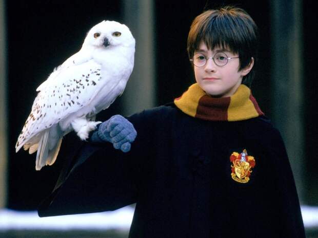 Тест по вселенной Гарри Поттера: примут ли тебя в Хогвартс?