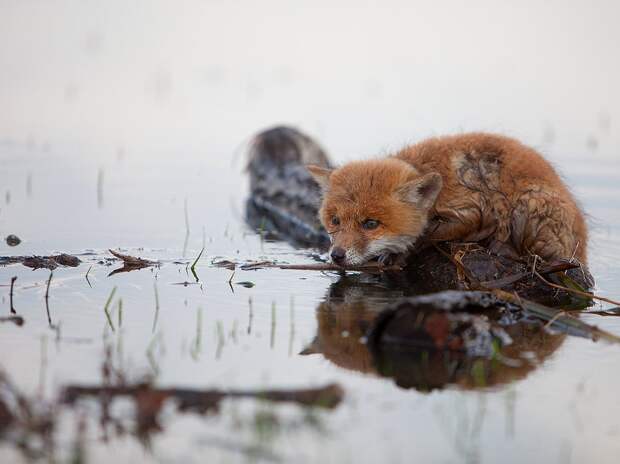 Большая вода