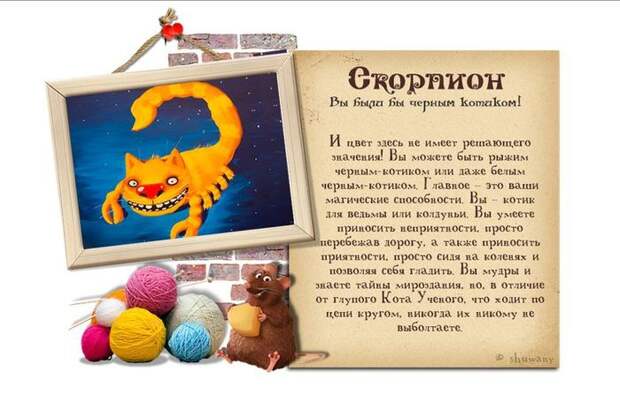 Гороскоп: «Каким бы вы были котиком?» гороскоп, кот, позитив