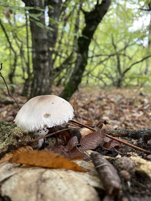 Прогноз погоды на 21 октября