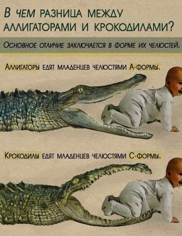 Прикольные картинки Прикольные картинки
