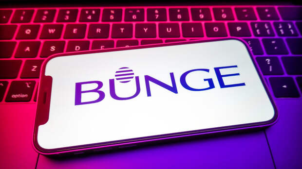 Американская компания Bunge закрыла сделку по продаже бизнеса в России