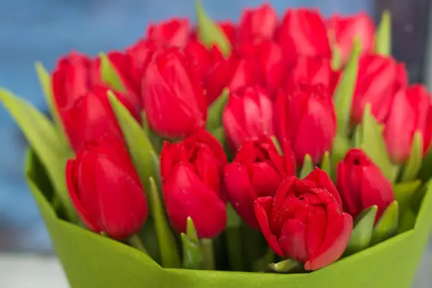 Тверская область присоединилась к Всероссийской акции «Вам, любимые» в честь 8 марта