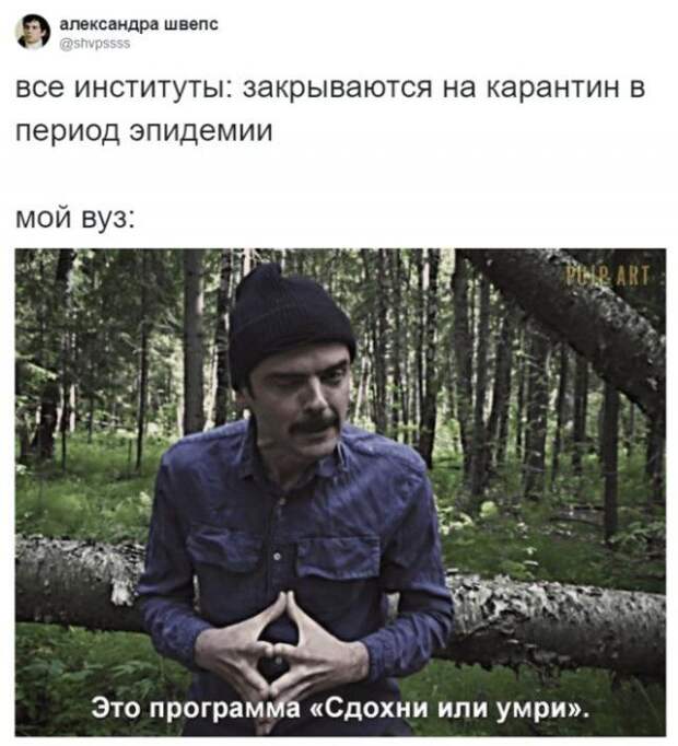 190678_15_trinixy_ru.jpg