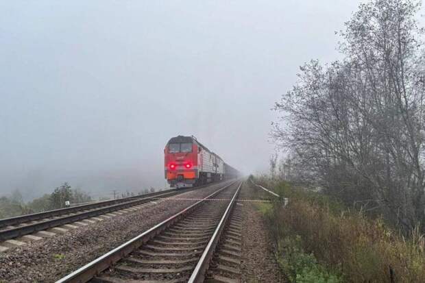 50 поездов встали на юге России из-за аномальных снегопадов