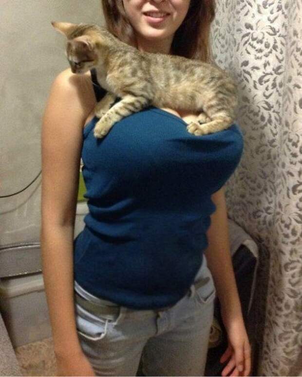 Прикольные фотки и картинки