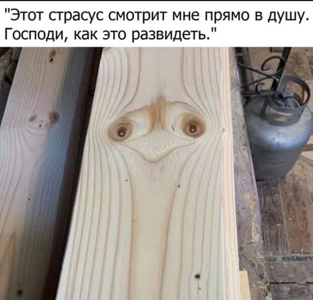 картинки прикольные смешные (2)