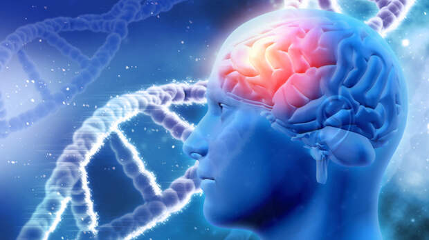 Ученые определили точное время "отключения" мозга