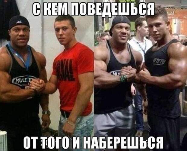 Прикольные картинки