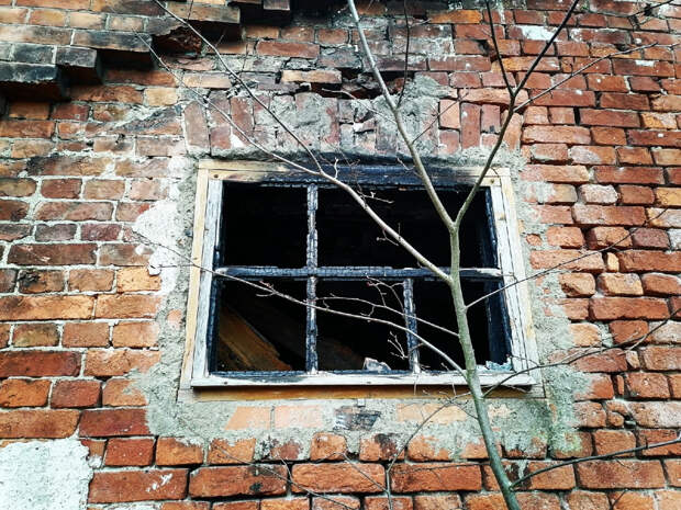 106 квартир до конца года - в Архангельске закупают жилье по программе переселения