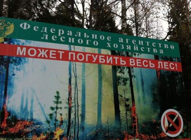 Смешные надписи и объявления надписи, объявления, смешные, юмор
