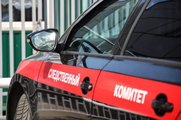 Жительница Саратова призналась в убийстве знакомого пенсионера