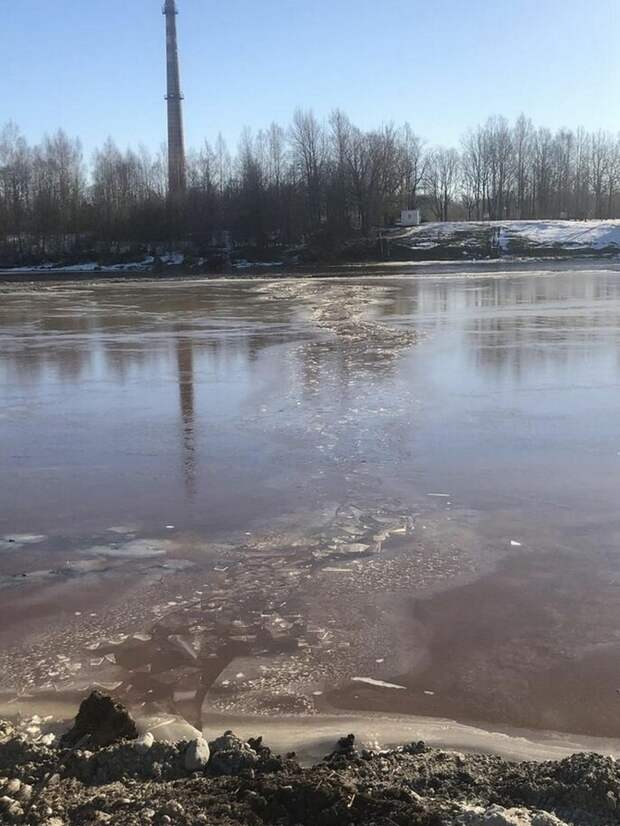 Рабочие спасли из ледяной ловушки собаку, как они думали