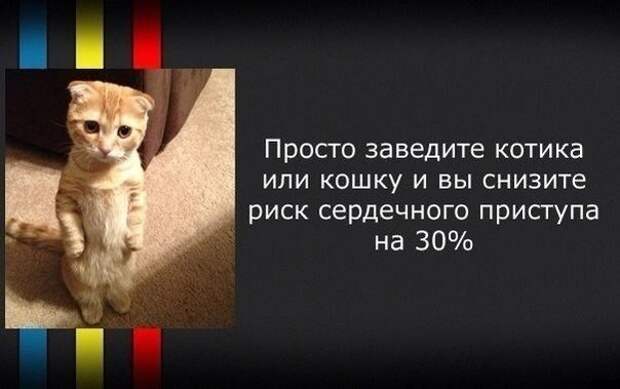 Новые факты о привычных вещах Новые факты о привычных вещах