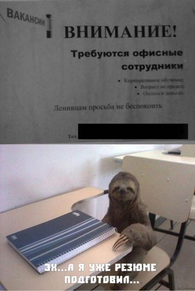 25 уморительных объявлений: так могли написать только наши люди!