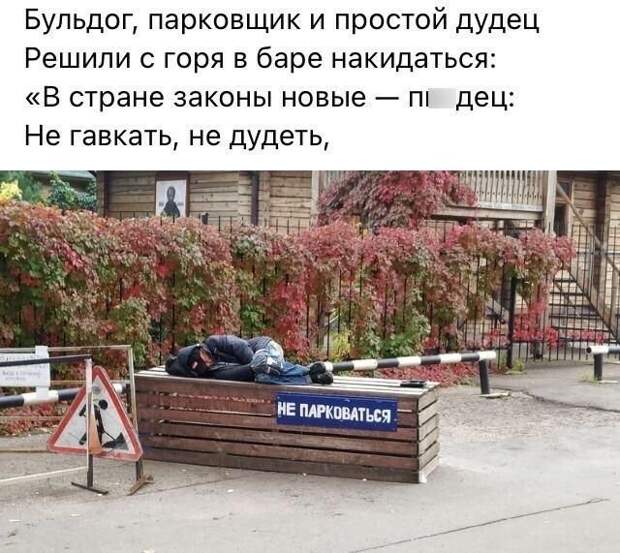 Рифмы из социальных сетей