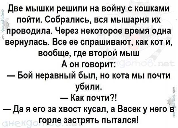 Анекдоты - лучшее от "анекдотовнет" Анекдоты - лучшее от "анекдотовнет"