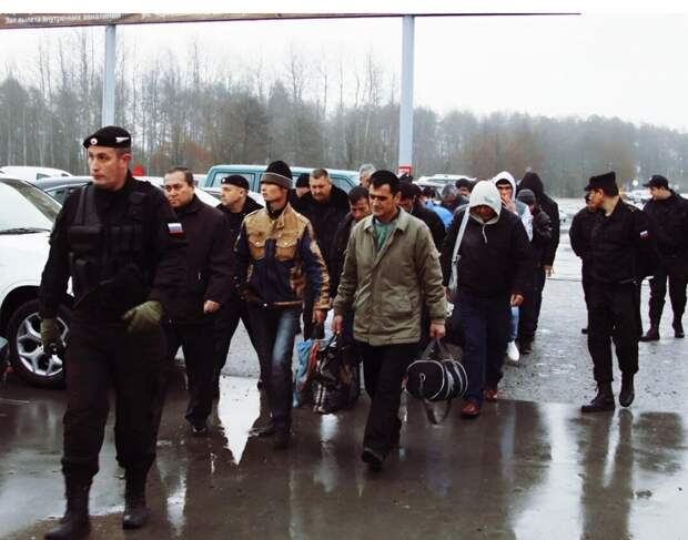 Мигранты лидируют в криминальных сводках Петербурга
