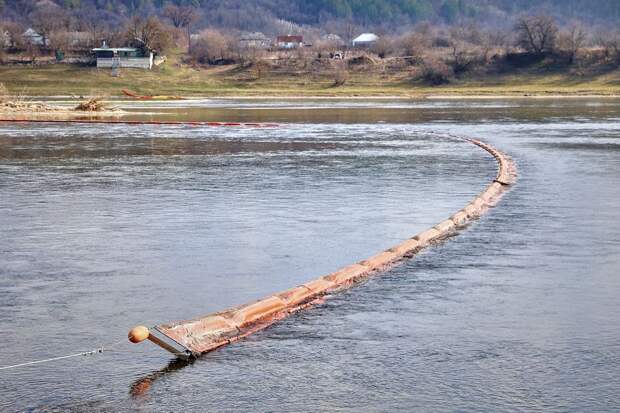 Глава МИД ПМР Игнатьев: Молдавия скрывает экологическую катастрофу на Днестре
