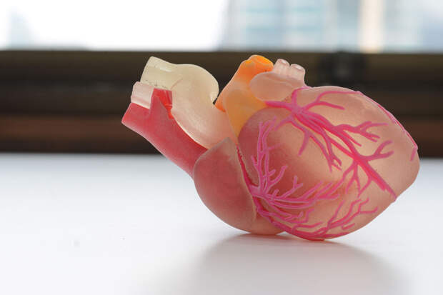 Врач Зебелян: боль в верхней части живота может говорить о проблемах с сердцем