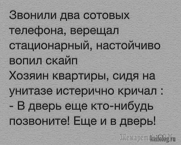 Шутки со страниц интернета
