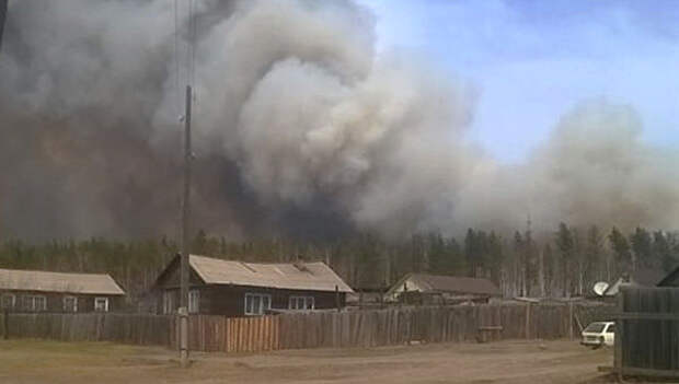 Площадь лесных пожаров в Сибири выросла до 1,3 млн га