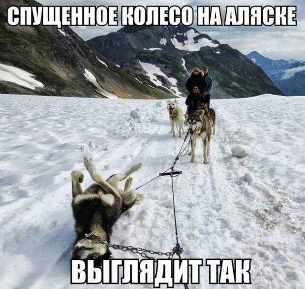 Всё в кучу 6