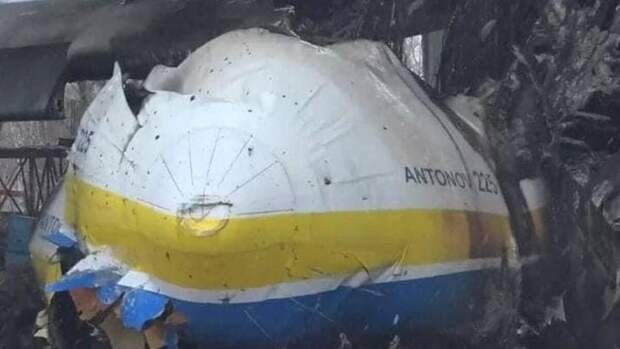 Автор: https://turkystan.kz/article/170652-ortengen-an-225-mriya-ushagynyn-suretteri-zhariyalandy-foto/