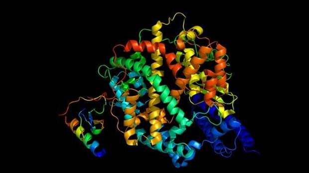 Почему живые организмы используют аминокислоты, закрученные влево, а сахара – вправо? Загадка, на которую до сих пор нет ответа