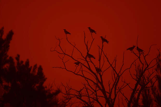 На Крите пыльная буря из Сахары окрасила небо в красно-оранжевый цвет