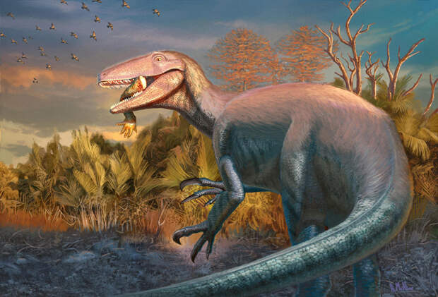 Новый вид мегарапторов Joaquinraptor casali