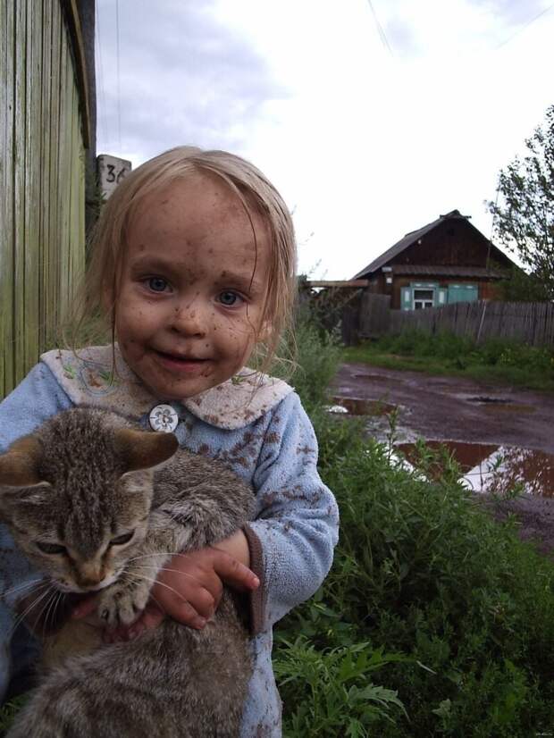40 картинок из жизни, поясняющих, за что мы так любим котов