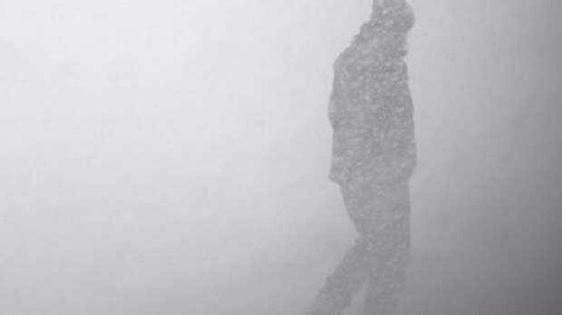 Фото: unsplash.com