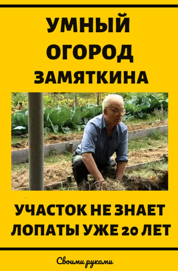Умный огород Замяткина: участок не знает лопаты уже 20 лет. Дача и сад своими руками